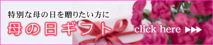 母の日ギフト